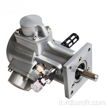 Motore pneumatico a pistone 1/6HP HM2-F (installazione con flangia verticale).